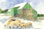 Anne's Sheep