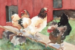 Chickens on Board