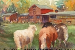 Ian's Sheep (Salt Spring Island, BC)