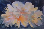 English Azalea Blossom