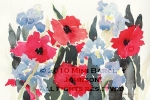 Flowers-Red Poppies Blue Iris