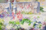 Gibraltar Garden-White Roses in June
