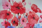 Peeking through Poppies