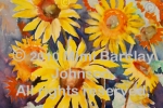 Sunflowers-Veridian Leaves