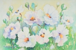 White Poppies-Warm Sky