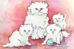 Cats-White Persian