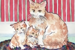 Cats-Yellow Tabby