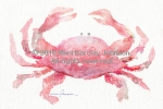 Red Crab 1