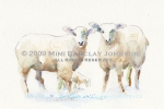 Together-Sheep Family