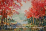 Sugar Maple Hill