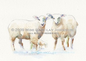 Together-Sheep Family